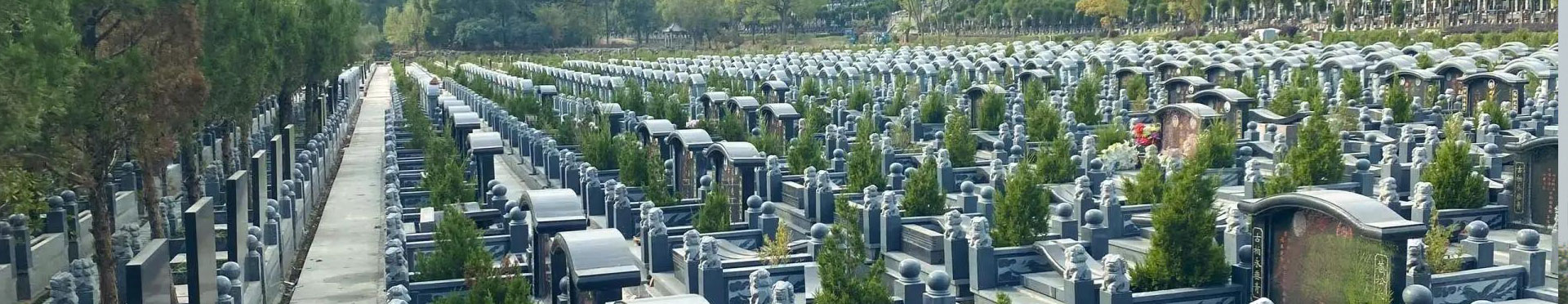 案例展示